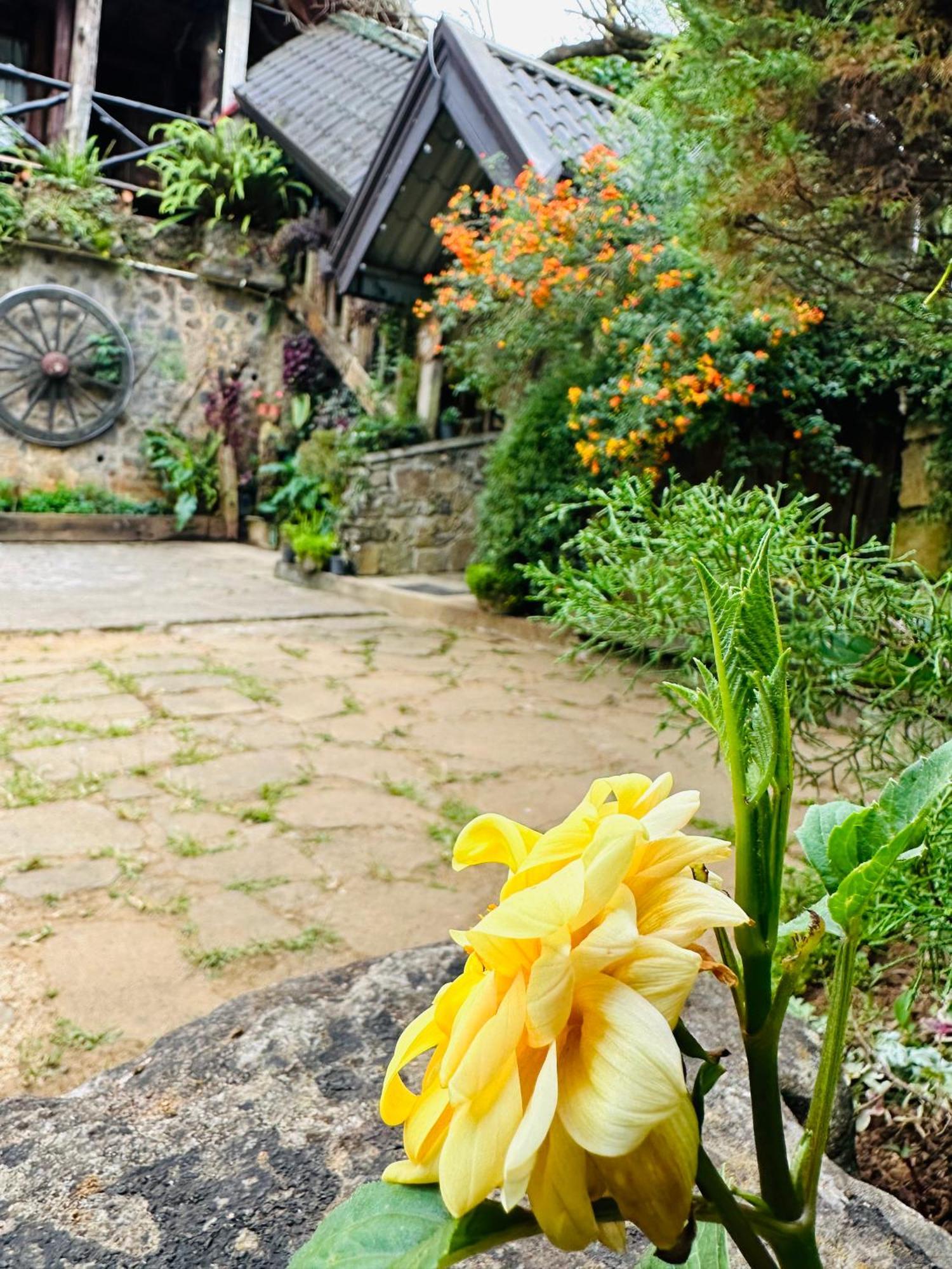 Villa 47 Nuwaraeliya Нувара-Елія Екстер'єр фото