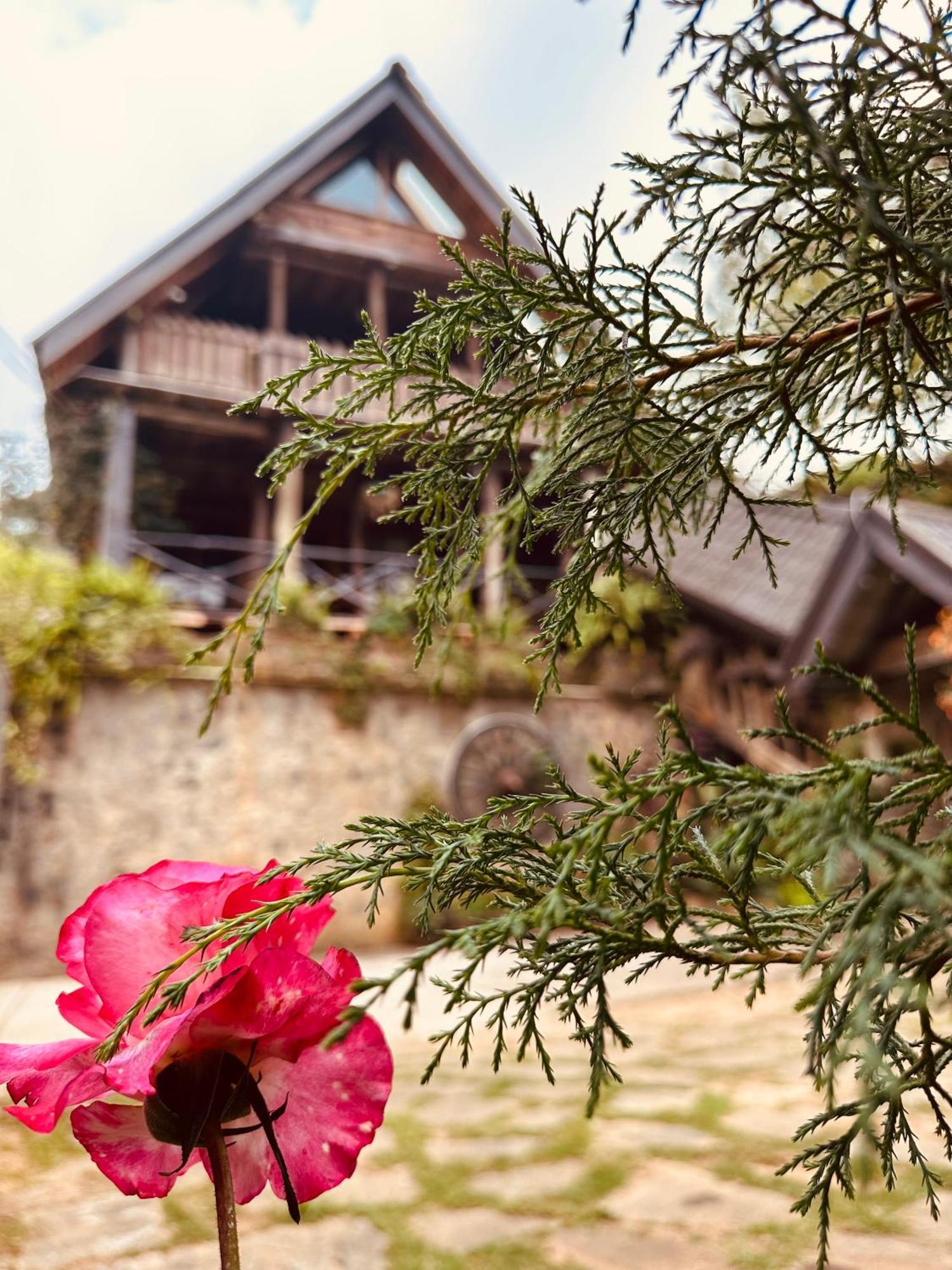 Villa 47 Nuwaraeliya Нувара-Елія Екстер'єр фото