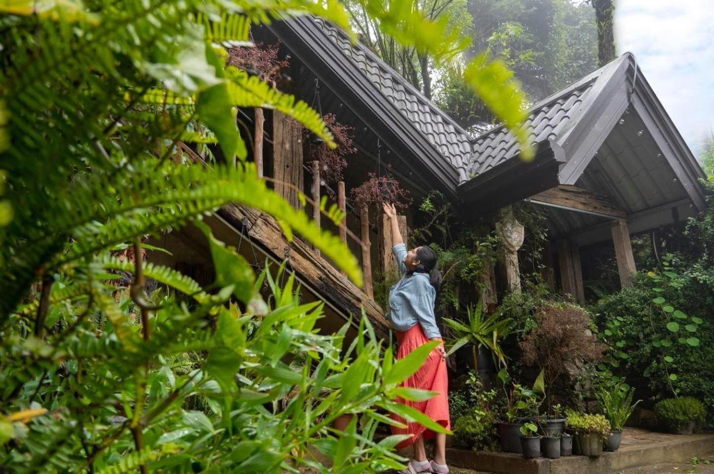 Villa 47 Nuwaraeliya Нувара-Елія Екстер'єр фото